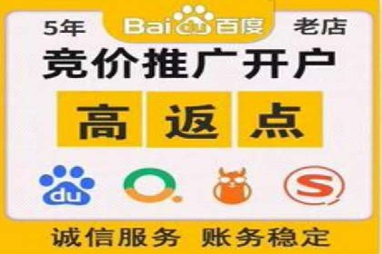 行业领先企业的sem竞价托管经验分享与案例解析